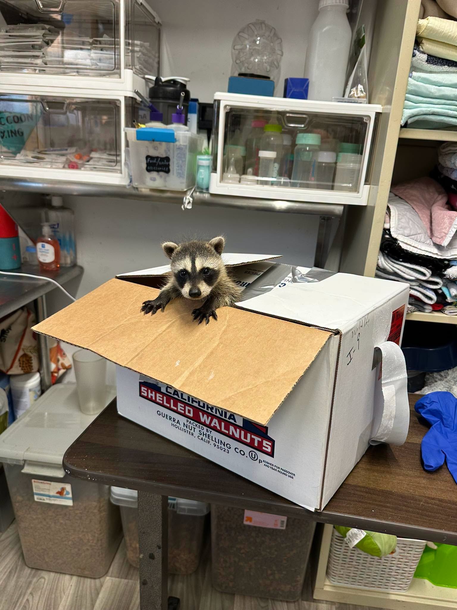 One-Time Donation